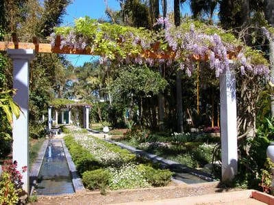 Allée ombragée du jardin exotique de Bouknadel