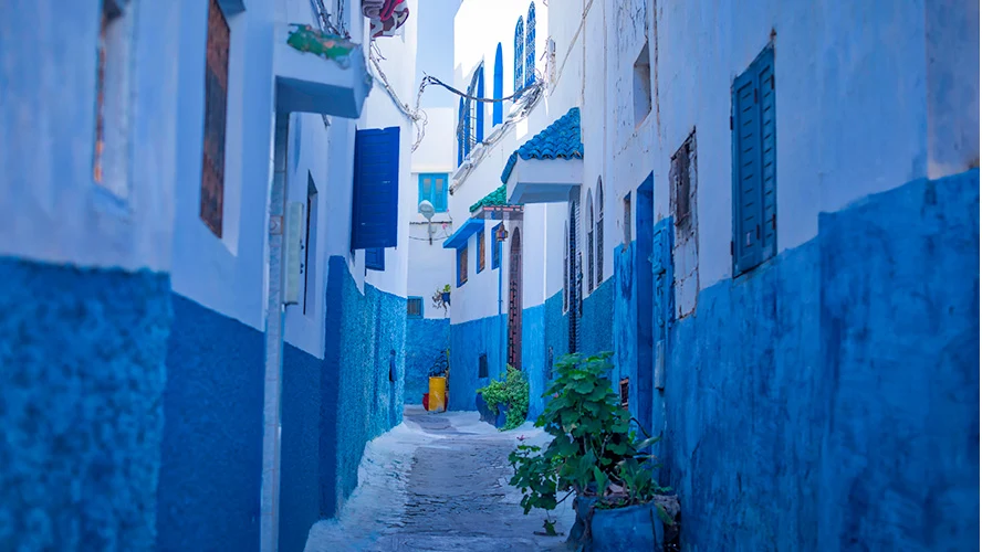 Ruelle blanche et bleue de la Kasbah des Oudaïas